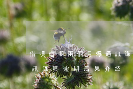 借唄逾期兩個月爆通訊錄(借唄逾期會被爆通訊錄嗎?逾期后果介紹)