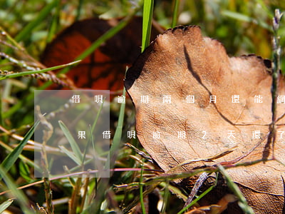 借唄逾期兩個月還能網(wǎng)貸么(如果借唄逾期2天還了之后還可以借嗎)