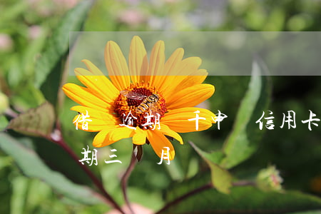 借唄逾期兩千申請信用卡(借唄10000逾期三個月)