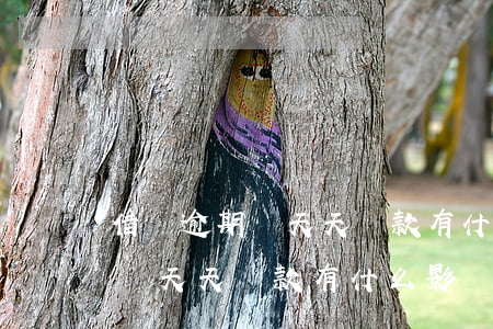 借唄逾期兩天天還款有什么影響-借唄逾期兩天天還款有什么影響嗎