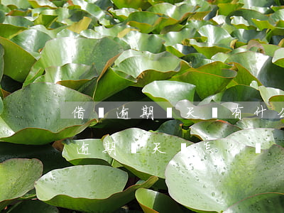 借唄逾期兩天會有什么后果?,有獎問答-借唄逾期兩天會怎么樣?