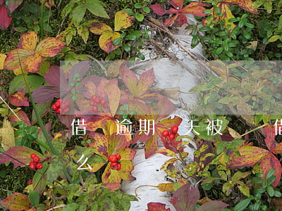 借唄逾期兩天 被關閉(借唄逾期兩天 被關閉怎么辦)