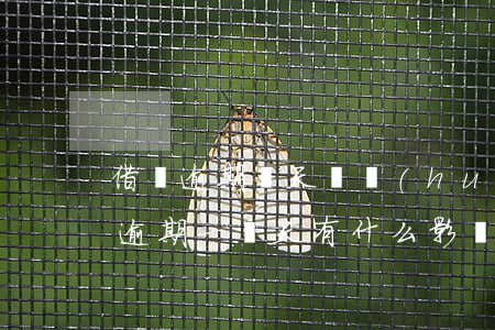借唄逾期兩天還會(huì)有影響嗎(借唄逾期一兩天有什么影響嗎)