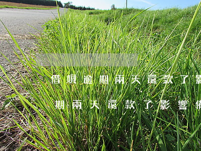 借唄逾期兩天還款了影響備用金么-借唄逾期兩天還款了影響備用金么嗎
