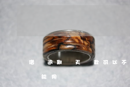 借唄逾期兩天還款可以不(借唄逾期2天還了還能用嗎)