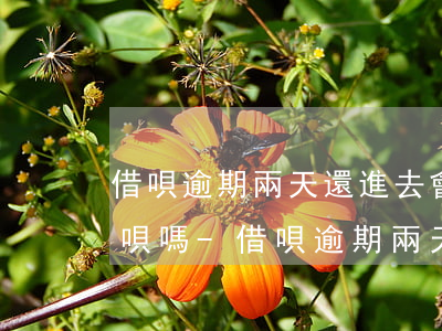 借唄逾期兩天還進去會關(guān)閉借唄嗎-借唄逾期兩天還進去會關(guān)閉借唄嗎怎么辦