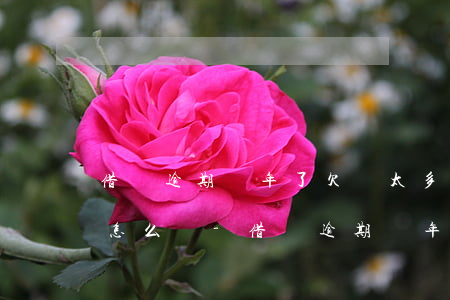 借唄逾期兩年了欠賬太多無(wú)力償還怎么辦-借唄逾期兩年了欠賬太多無(wú)力償還怎么辦呢