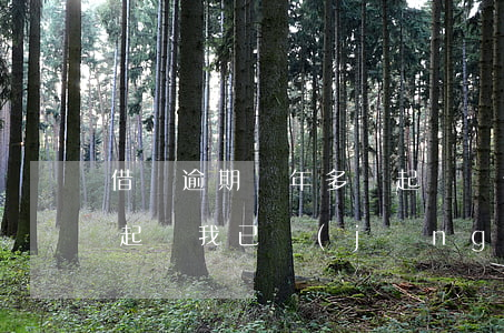 借唄逾期兩年多會起訴嗎(借唄逾期多少天會起訴,我已經(jīng)還了2000多)