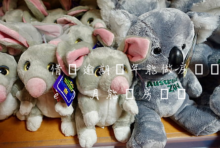 借唄逾期兩年能做房貸嗎(借唄逾期一個(gè)月能貸房貸嗎)