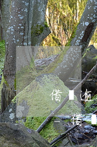 借唄逾期兩年要多久可以恢復(fù)正常-借唄逾期兩年要多久可以恢復(fù)正常使用