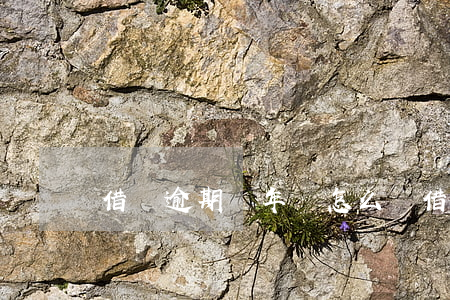 借唄逾期兩年該怎么還(借唄逾期兩年沒還)