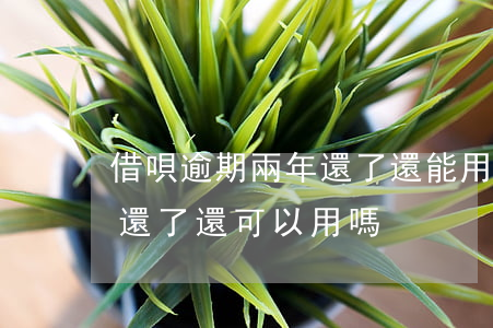 借唄逾期兩年還了還能用嗎(借唄逾期了兩天還了還可以用嗎?)