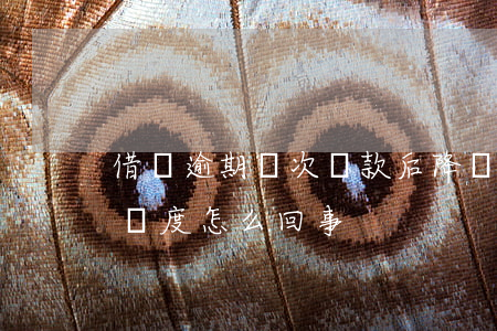 借唄逾期兩次還款后降額(借唄還一次降一次額度怎么回事)