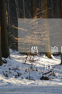 借唄逾期兩百多天會(huì)有什么后果-借唄逾期兩百多天會(huì)有什么后果嗎