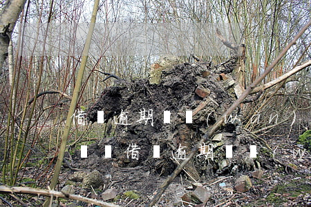 借唄逾期兩萬(wàn)會(huì)被起訴嗎(借唄逾期兩萬(wàn)會(huì)被起訴嗎)