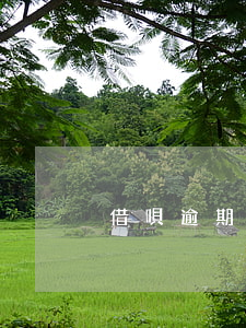 借唄逾期八萬多久會起訴
