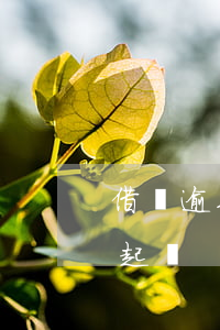 借唄逾期六千元多久起訴(借唄逾期多少錢被起訴)