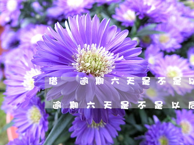借唄逾期六天是不是以后都不能用了?-借唄逾期六天是不是以后都不能用了呢