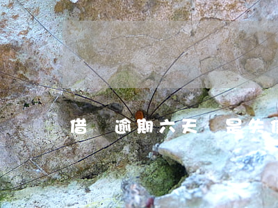 借唄逾期六天說是失信人(借唄逾期16天了)