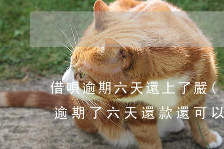 借唄逾期六天還上了嚴(yán)重嗎(借唄逾期了六天還款還可以在再借出來嗎?)