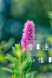 借唄逾期六次全部上征信(借唄逾期6天,有上征信嗎)
