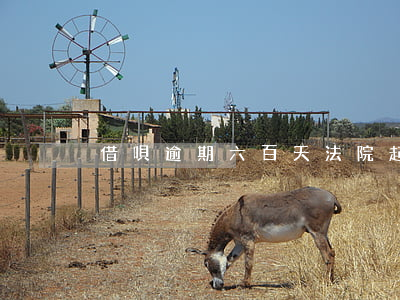 借唄逾期六百天法院起訴(借唄逾期600天)