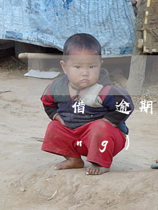 借唄逾期再，借唄逾期再分期怎么申請(qǐng)