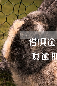 借唄逾期凍結(jié)支付寶嗎 支付寶借唄逾期會被凍結(jié)銀行卡嗎