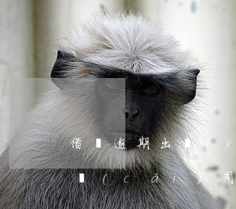 借唄逾期出現(xiàn)了個(gè)理財(cái)周轉(zhuǎn)(借唄理財(cái)周轉(zhuǎn)金)