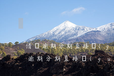 借唄逾期分期直接關(guān)閉嗎(借唄逾期分期直接關(guān)閉嗎)