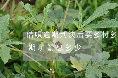 借唄逾期判決后要多付多少律師費-借唄逾期了罰息多少