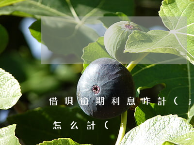 借唄逾期利息咋計(jì)算(借唄逾期利息怎么計(jì)算)