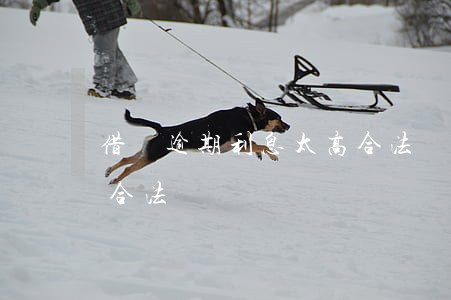 借唄逾期利息太高合法嗎(借唄逾期利息太高合法嗎)