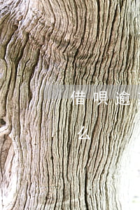借唄逾期利息能不能減免(借唄逾期可以免息么)