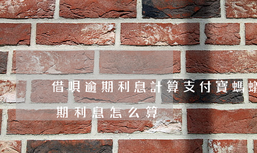 借唄逾期利息計算(支付寶螞蟻借唄和花唄逾期利息怎么算)