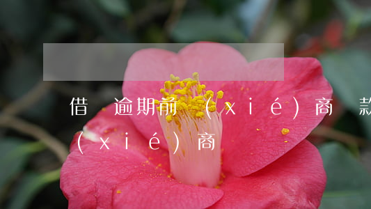 借唄逾期前協(xié)商還款 借唄 逾期 協(xié)商