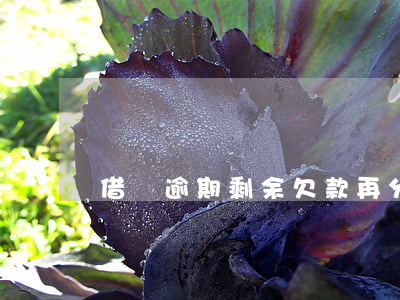 借唄逾期剩余欠款再分期