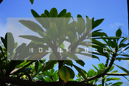 借唄逾期剩余還款計算器 借唄逾期費怎么計算的
