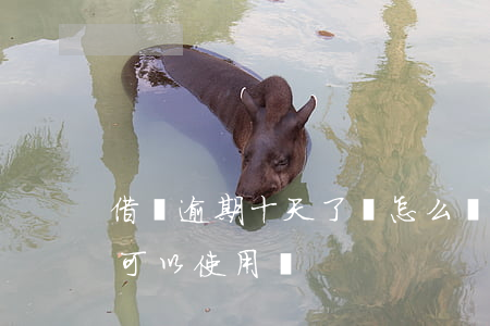 借唄逾期十天了會怎么辦(借唄逾期10天還可以使用嗎)