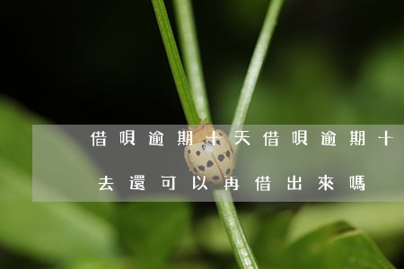 借唄 逾期十天(借唄逾期十天還進(jìn)去還可以再借出來嗎)