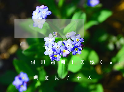 借唄逾期十天協(xié)商全額還款-借唄逾期了十天