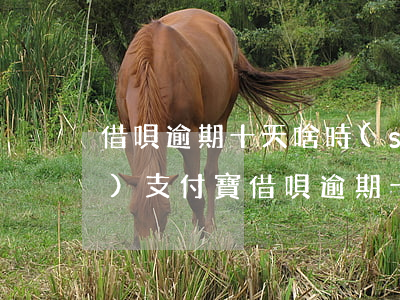 借唄逾期十天啥時(shí)候恢復(fù)(支付寶借唄逾期十天了怎么樣)