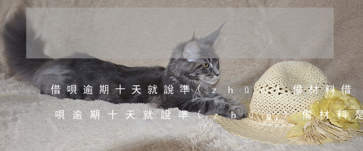借唄逾期十天就說準(zhǔn)備材料(借唄逾期十天就說準(zhǔn)備材料是什么意思)