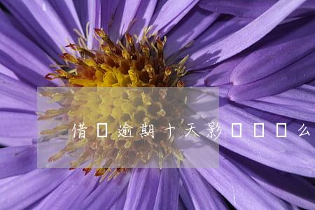 借唄逾期十天影響車貸么