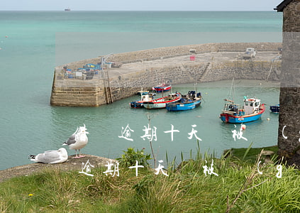 借唄逾期十天會被關(guān)閉嗎(借唄逾期十天會被關(guān)閉嗎)