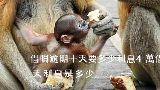 借唄逾期十天要多少利息(4萬借唄逾期10天利息是多少)