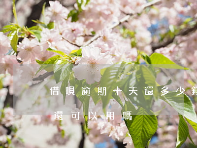 借唄逾期十天還多少錢(借唄逾期十天后還款還可以用嗎)