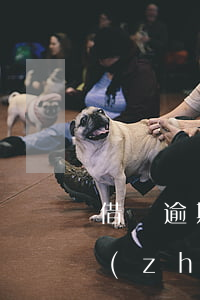 借唄逾期十幾天會(huì)打電話給家長(zhǎng)嗎-借唄逾期十幾天會(huì)打電話給家長(zhǎng)嗎是真的嗎