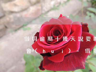 借唄逾期十幾天說要聯(lián)系村委會(huì)-借唄逾期十幾天說要聯(lián)系村委會(huì)是真的嗎