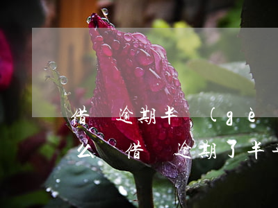 借唄逾期半個(gè)月了會(huì)怎么樣(借唄逾期了半年嚴(yán)重嗎)